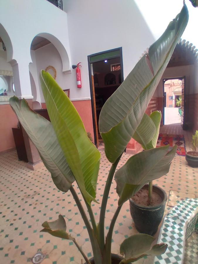 Riad 9 Derb El Bousnne Marrakesh Exterior foto
